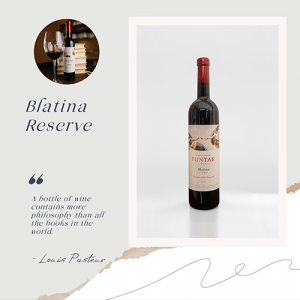 Pročitajte više o članku Blatina Reserve